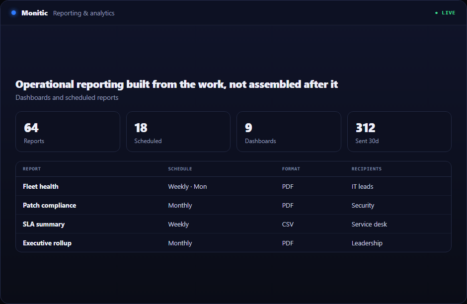 IT Reporting & Analytics in Monitic